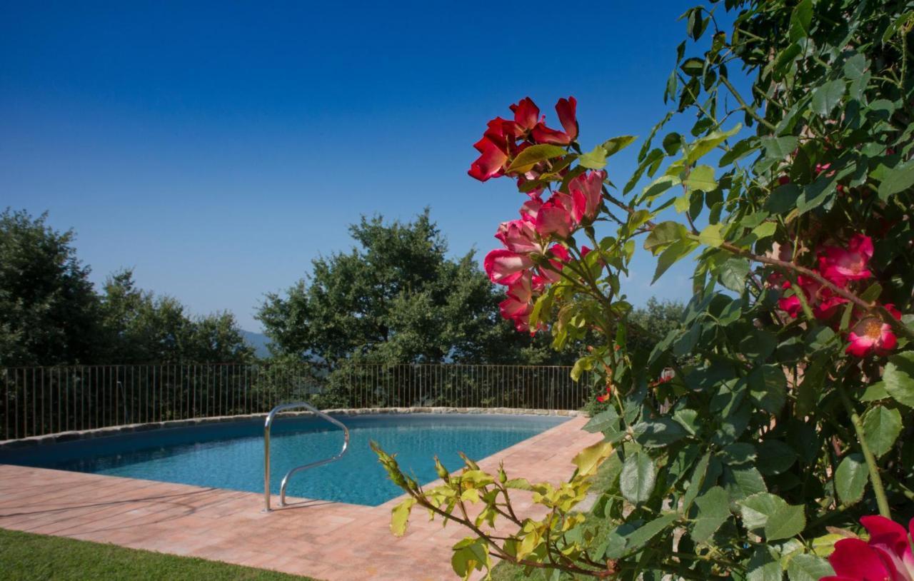 Villa Tinaia - Homelike Villas Molinelli Экстерьер фото